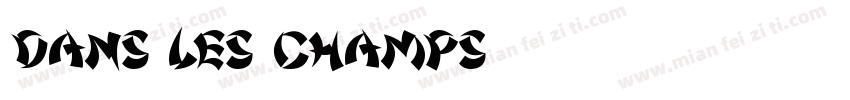 DANS LES CHAMPS字体转换
